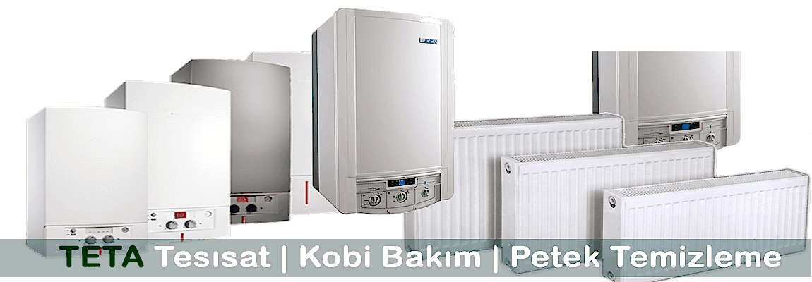 PETEK TEMİZLİĞİ